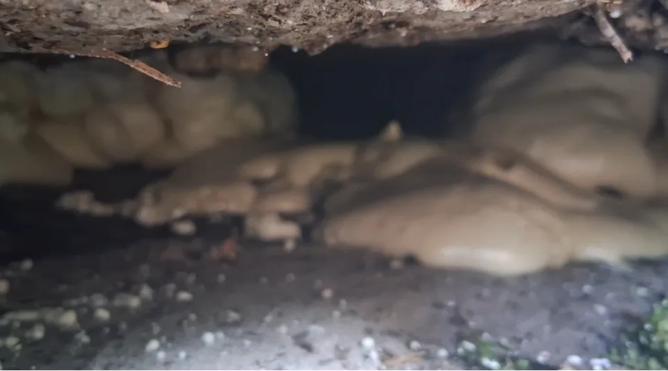 Polyurethane filling a void beneath a concrete slab