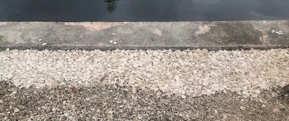 lutz-seawall-soil-stabilization-void-filling — after