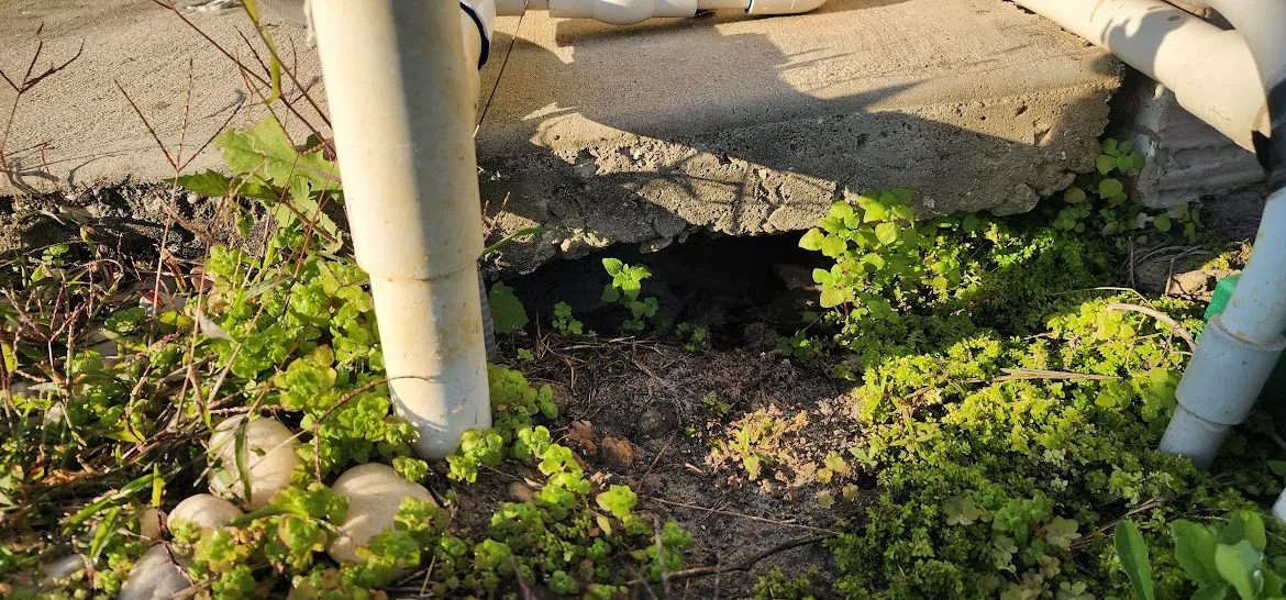 Visible void and soil washout beneath concrete around plumbing in Florida